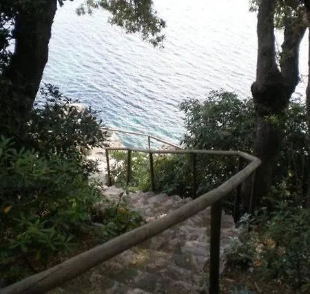 Del Mar 普罗基奥